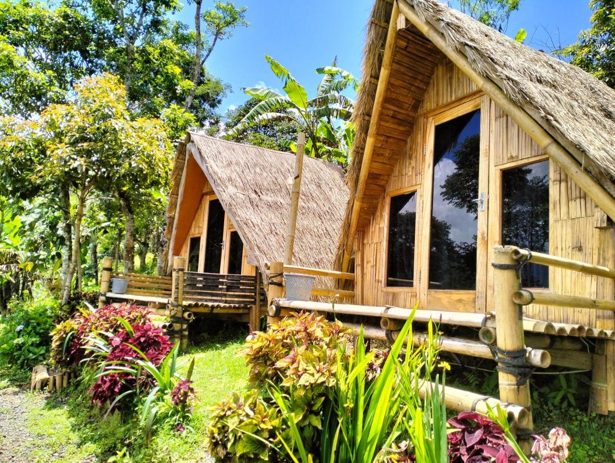 Wanagiri Campsite Gitgit المظهر الخارجي الصورة