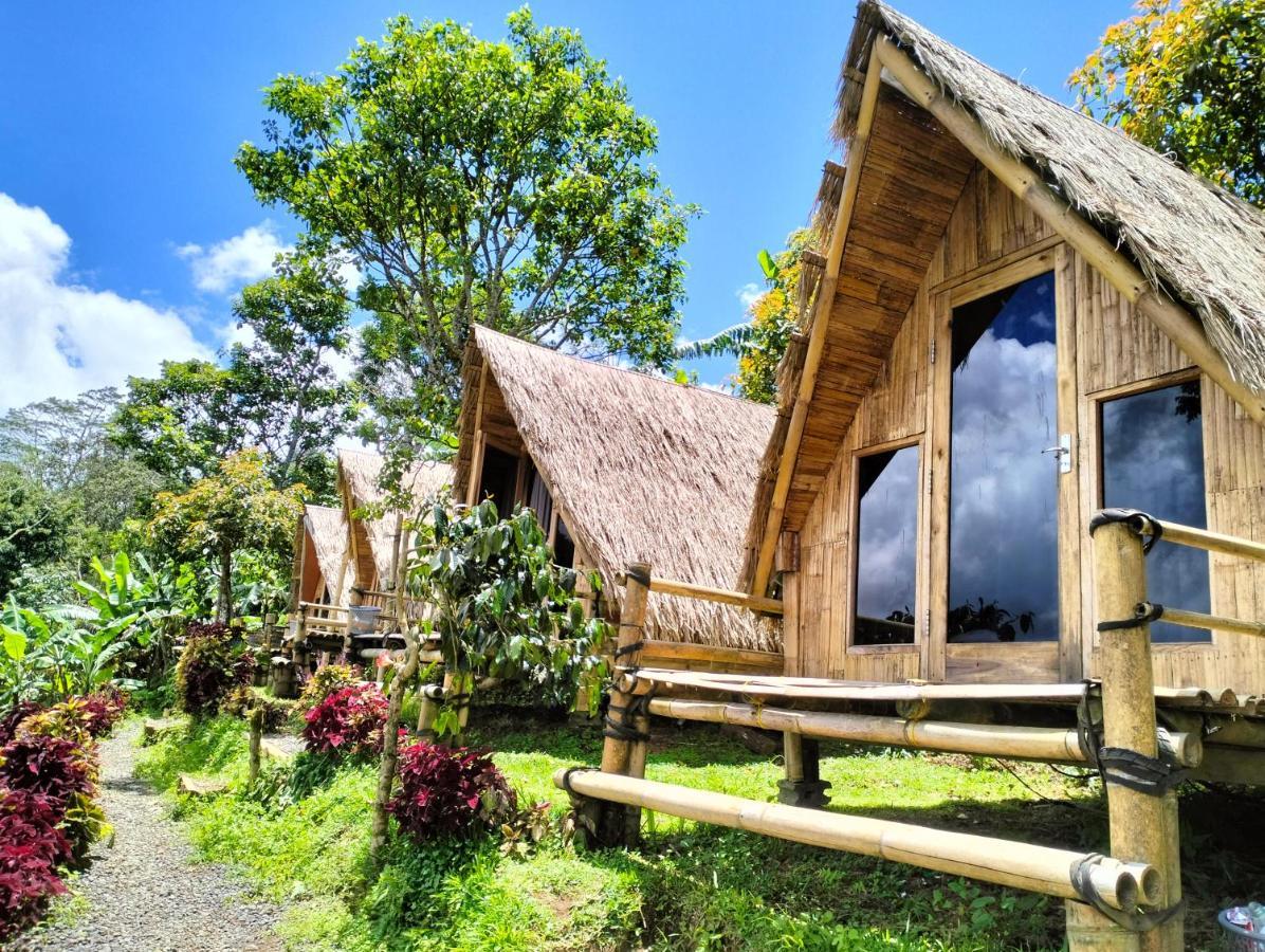 Wanagiri Campsite Gitgit المظهر الخارجي الصورة