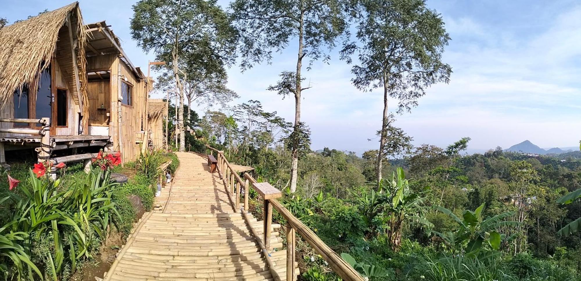 Wanagiri Campsite Gitgit المظهر الخارجي الصورة